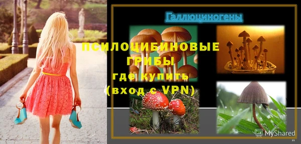 PSILOCYBIN Киреевск