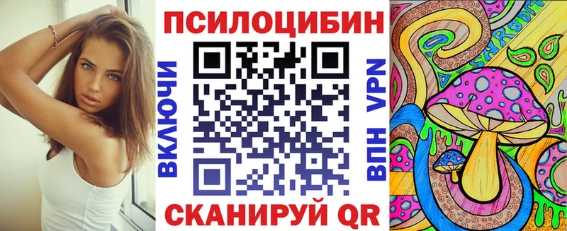 Галлюциногенные грибы Psilocybe  Купить закладки  Глазов 
